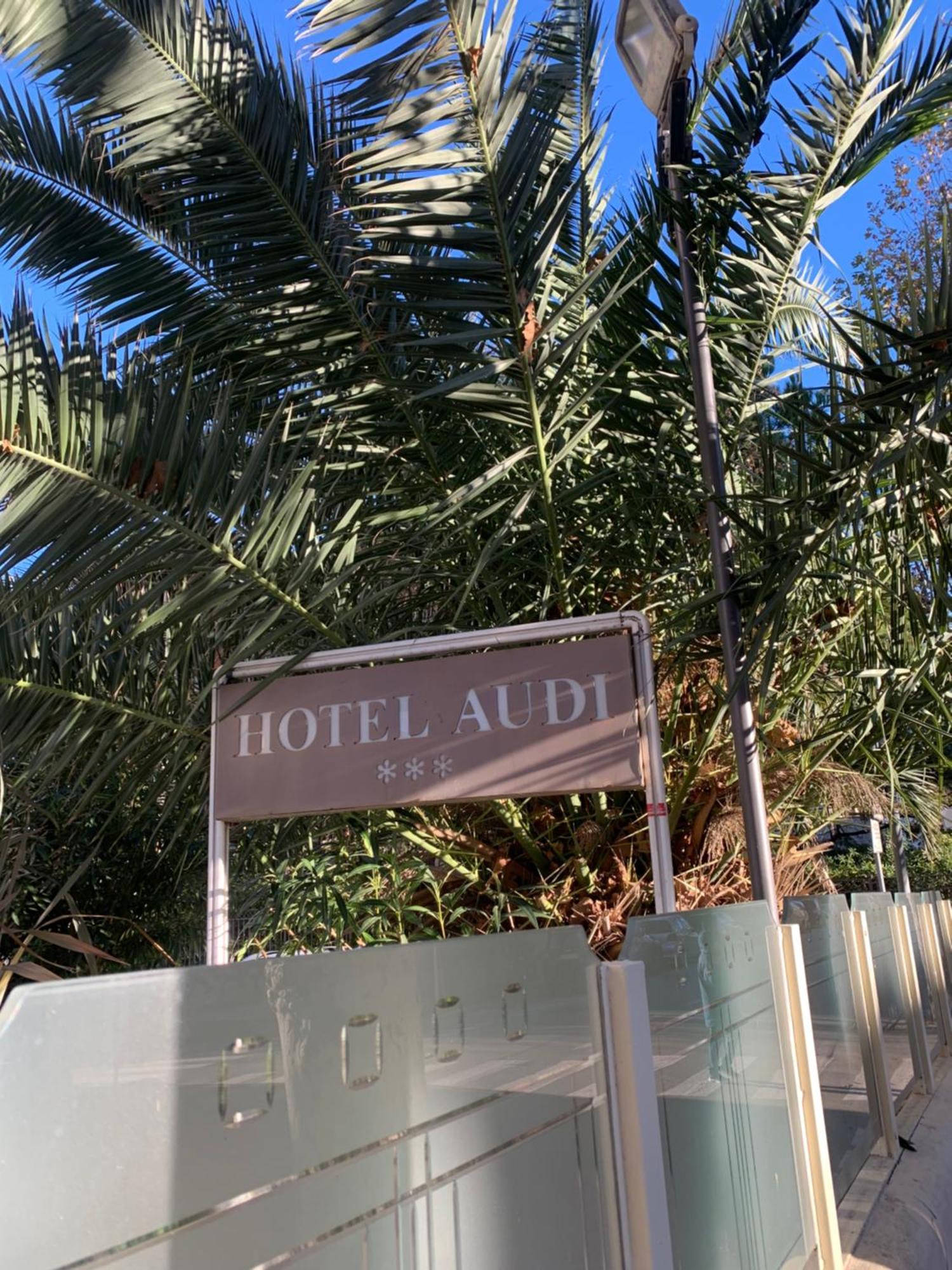 Hotel Audi Frontemare Rimini Eksteriør billede